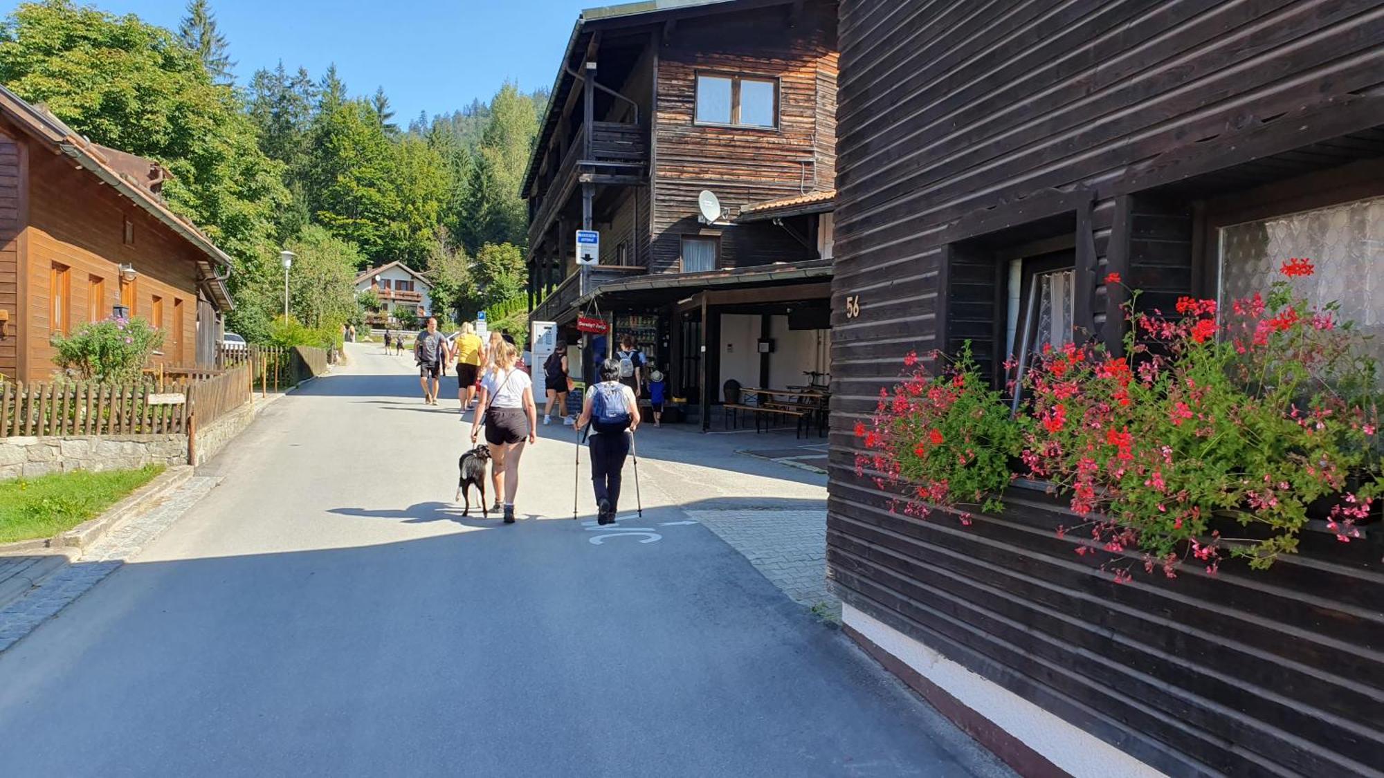 Hotel Waldhaus 博登迈斯 外观 照片